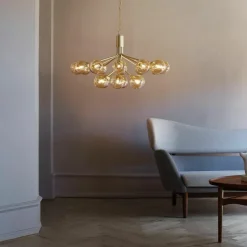 Apiales 18 Kroonluchter