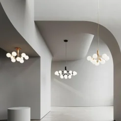 Apiales 18 Kroonluchter