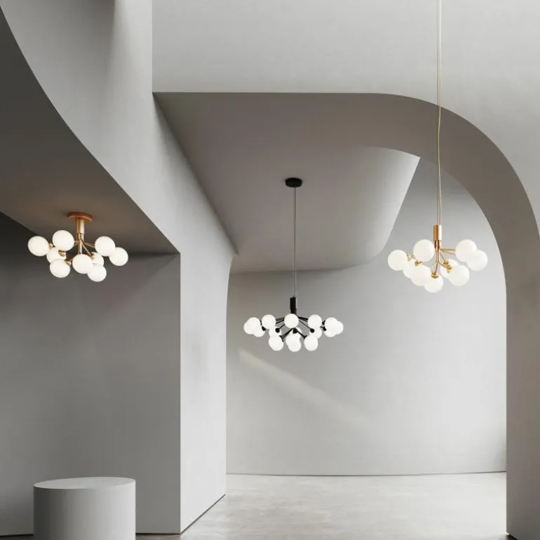 Apiales 18 Kroonluchter