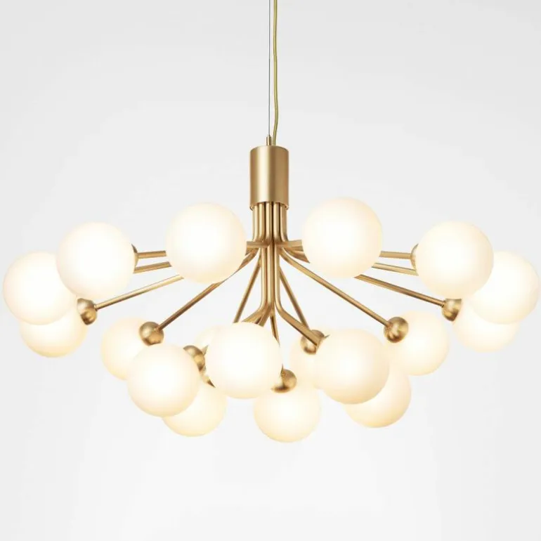 Apiales 18 Kroonluchter