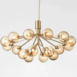 Apiales 18 Kroonluchter