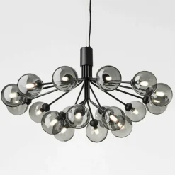 Apiales 18 Kroonluchter