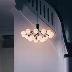 Apiales 18 Kroonluchter