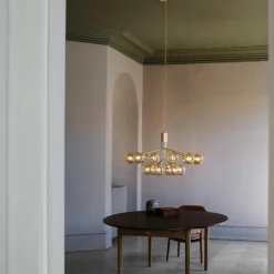 Apiales 18 Kroonluchter