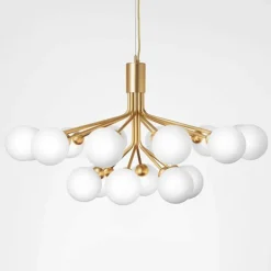 Apiales 18 Kroonluchter