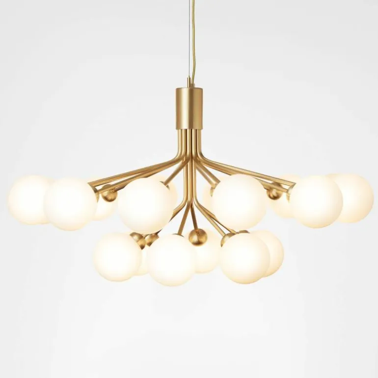 Apiales 18 Kroonluchter