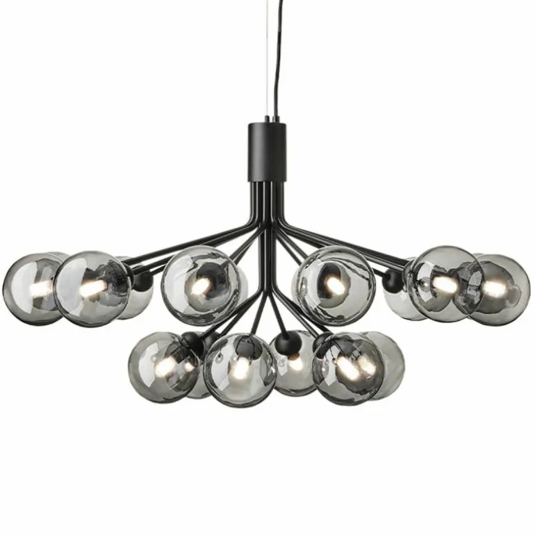 Apiales 18 Kroonluchter