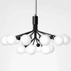 Apiales 18 Kroonluchter