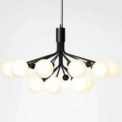 Apiales 18 Kroonluchter