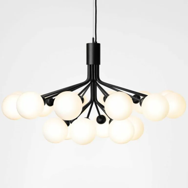 Apiales 18 Kroonluchter