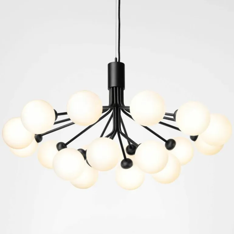 Apiales 18 Kroonluchter