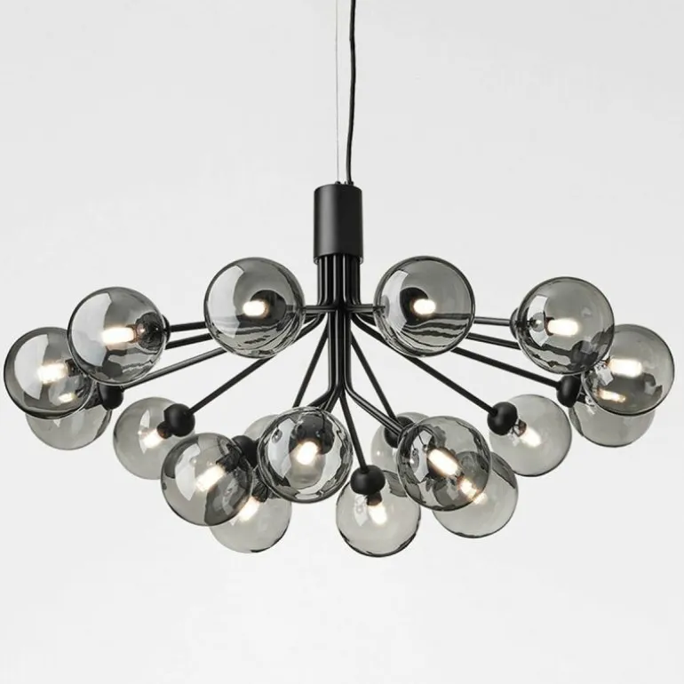 Apiales 18 Kroonluchter