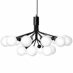 Apiales 18 Kroonluchter