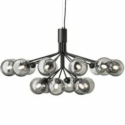 Apiales 18 Kroonluchter