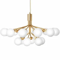 Apiales 18 Kroonluchter