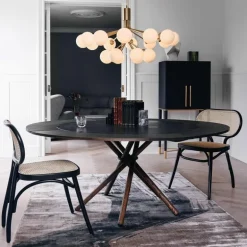 Apiales 18 Kroonluchter