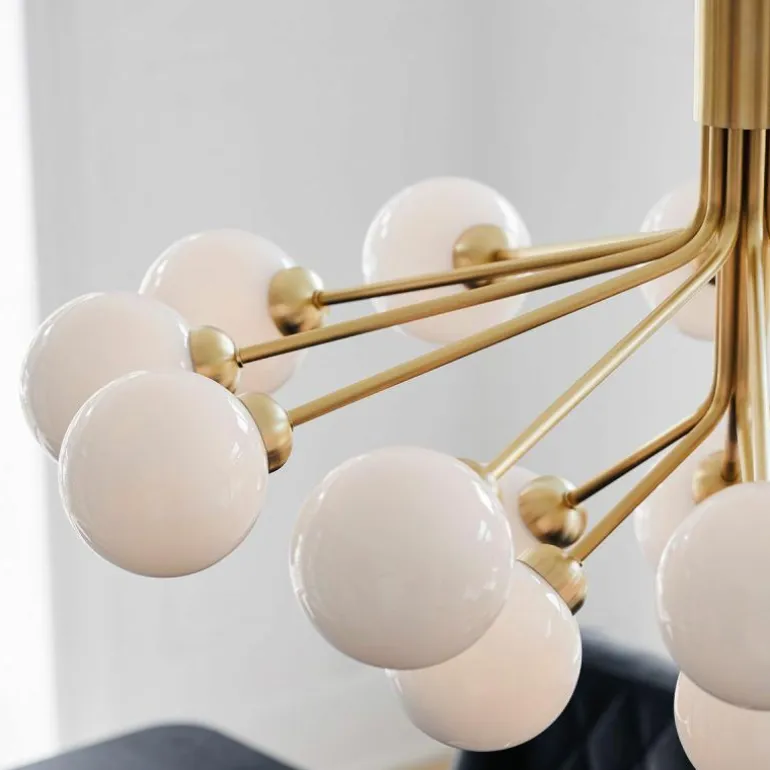 Apiales 18 Kroonluchter