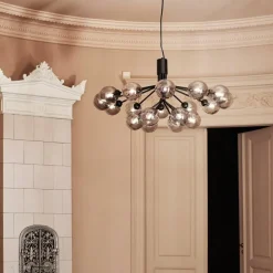 Apiales 18 Kroonluchter