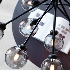 Apiales 18 Kroonluchter