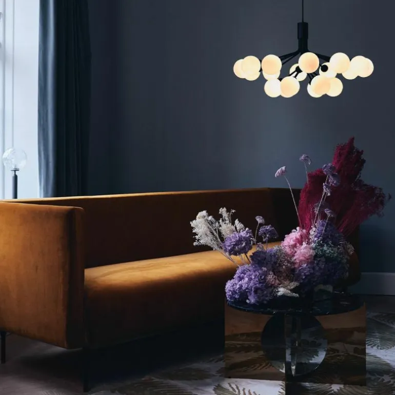 Apiales 18 Kroonluchter