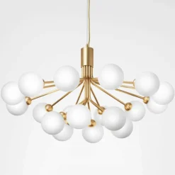 Apiales 18 Kroonluchter