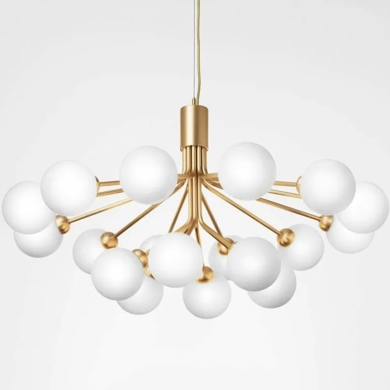 Apiales 18 Kroonluchter