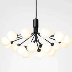 Apiales 18 Kroonluchter