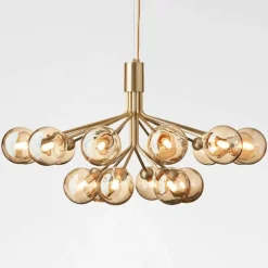 Apiales 18 Kroonluchter