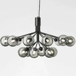 Apiales 18 Kroonluchter