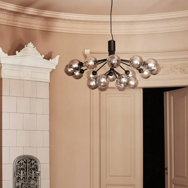 Apiales 18 Kroonluchter