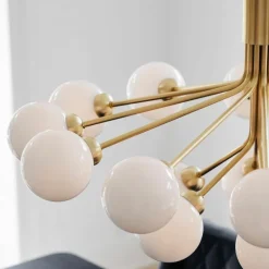 Apiales 18 Kroonluchter