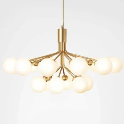 Apiales 18 Kroonluchter