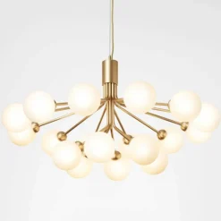 Apiales 18 Kroonluchter