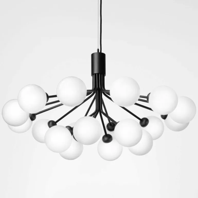 Apiales 18 Kroonluchter