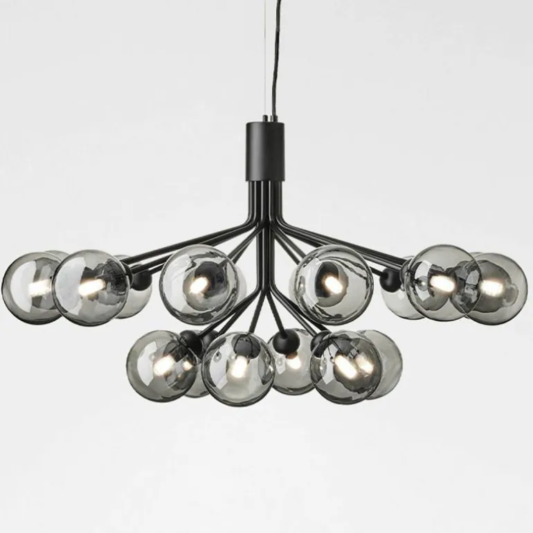 Apiales 18 Kroonluchter