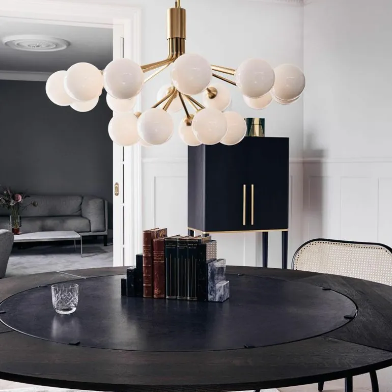 Apiales 18 Kroonluchter