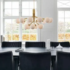 Apiales 18 Kroonluchter