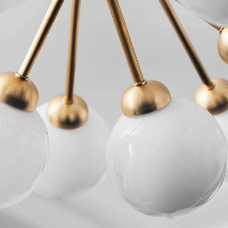 Apiales 18 Kroonluchter