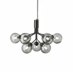 Apiales 9 Kroonluchter