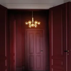 Apiales 9 Kroonluchter