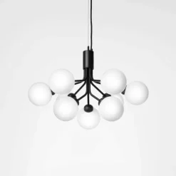 Apiales 9 Kroonluchter