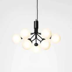 Apiales 9 Kroonluchter