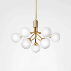 Apiales 9 Kroonluchter