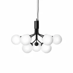 Apiales 9 Kroonluchter