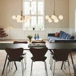 Apiales 9 Kroonluchter