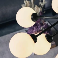 Apiales 9 Kroonluchter