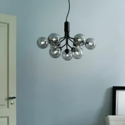 Apiales 9 Kroonluchter