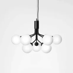 Apiales 9 Kroonluchter