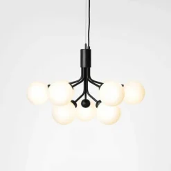 Apiales 9 Kroonluchter