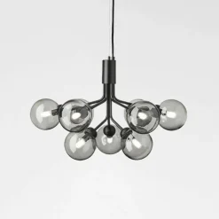 Apiales 9 Kroonluchter